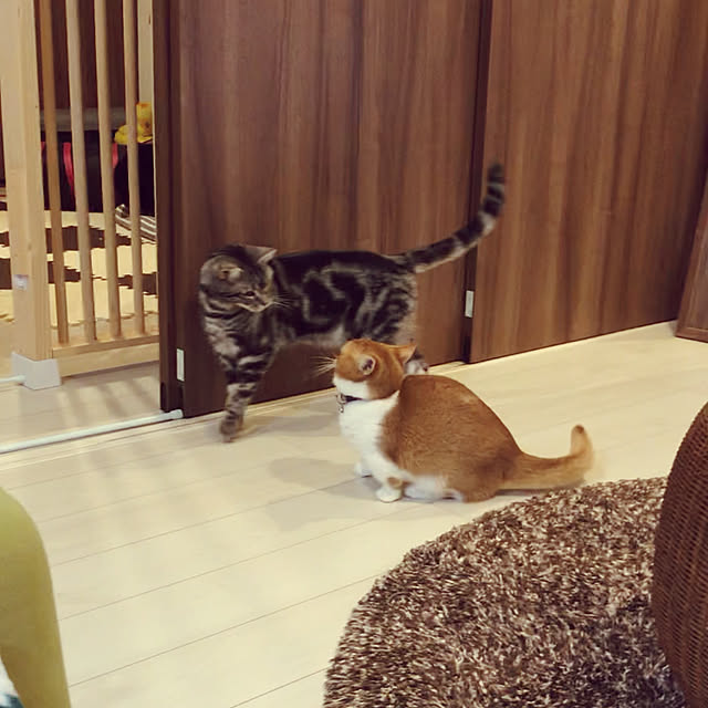 KotarouKunさんの実例写真