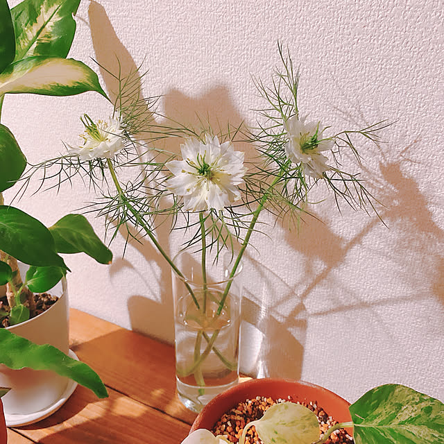 smallroomさんの実例写真