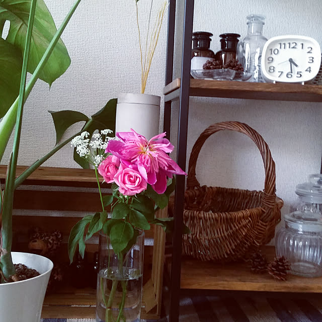 pinkoさんの実例写真