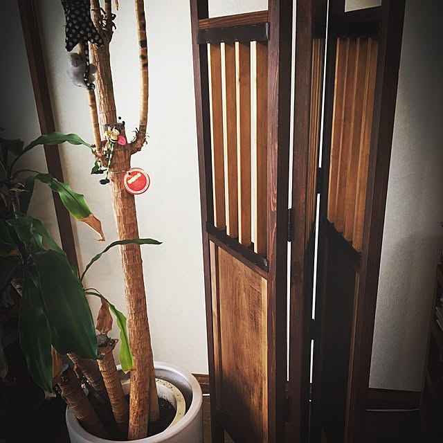 Baum-ringさんの実例写真