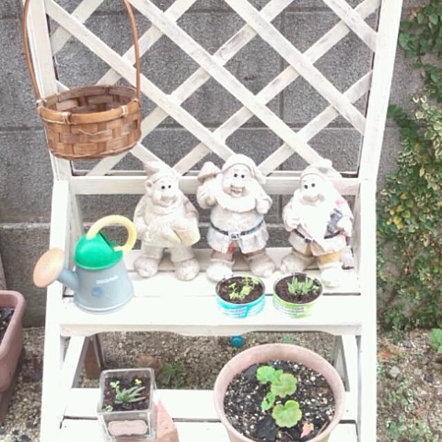 mariさんの実例写真