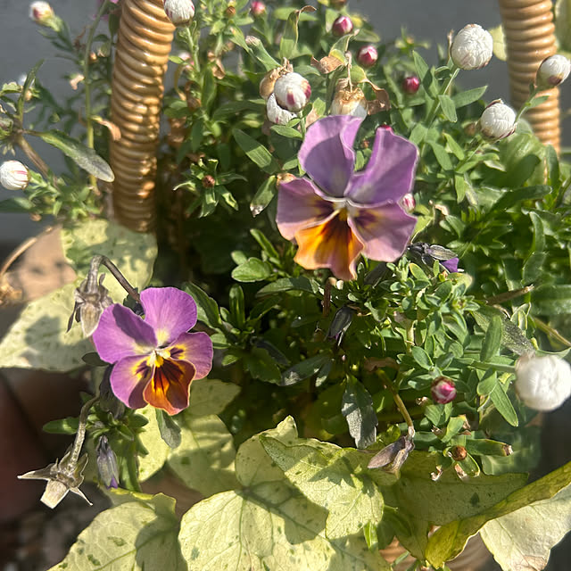 R.5.mamaさんの部屋