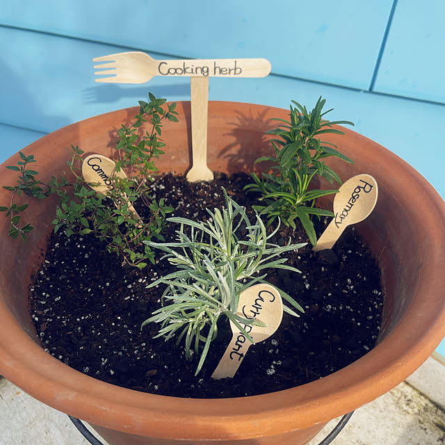 Ohigeさんの実例写真