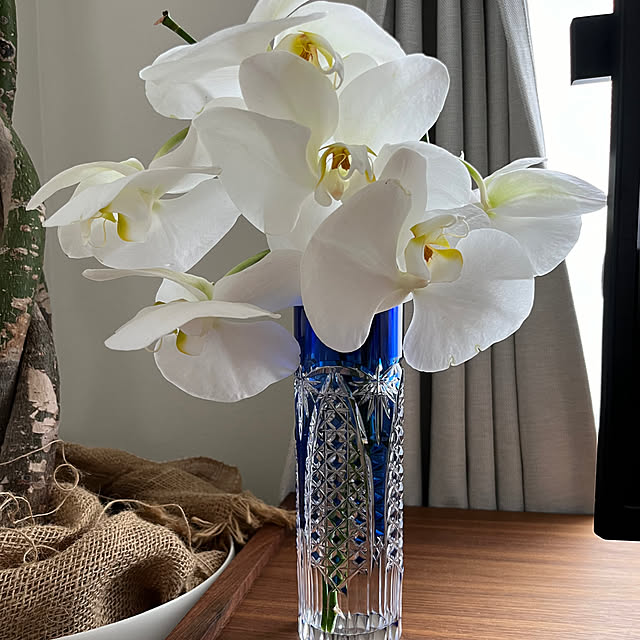 makigonさんの部屋