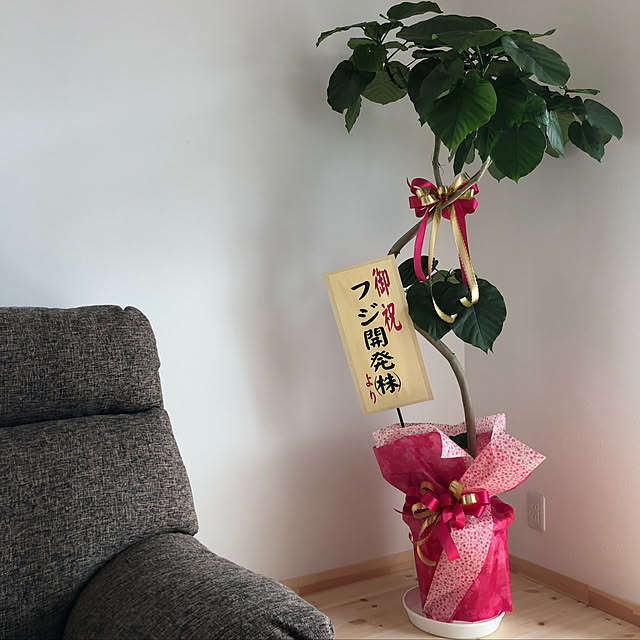 yumigotenさんの実例写真