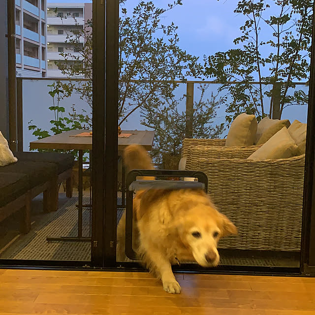 potiさんの実例写真