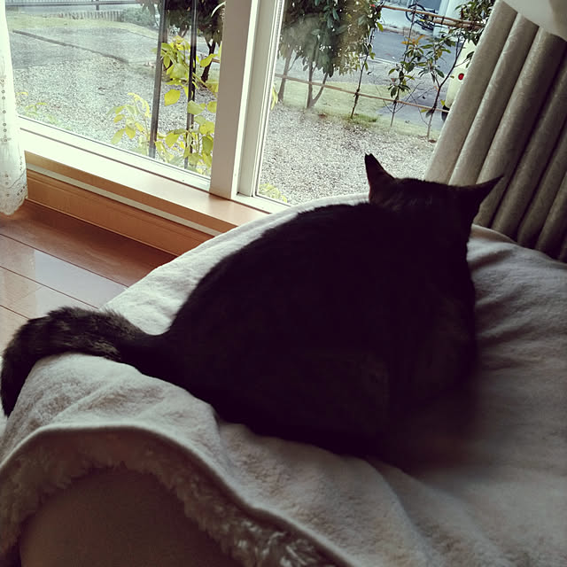 lilyさんの実例写真