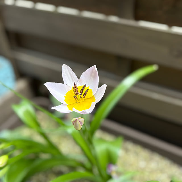 Kaoriさんの部屋