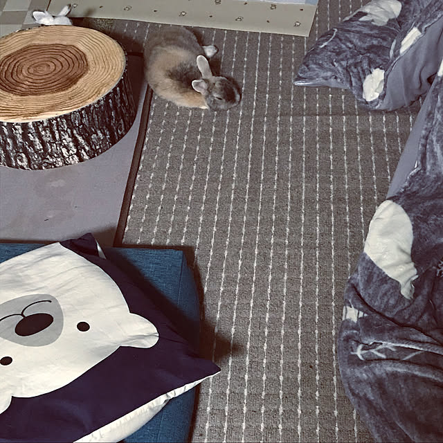 acoさんの実例写真