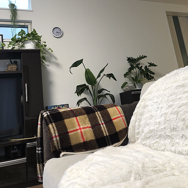 misacatさんの実例写真