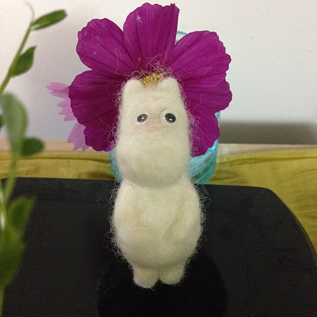 anriさんの実例写真