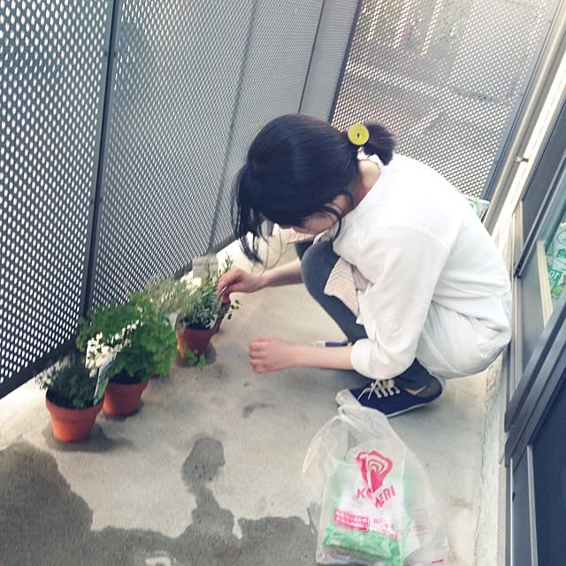 umaushioさんの実例写真