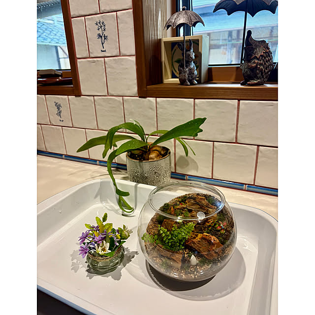 cotaさんの部屋