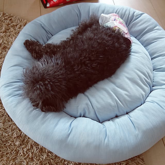 naechan2525さんの実例写真