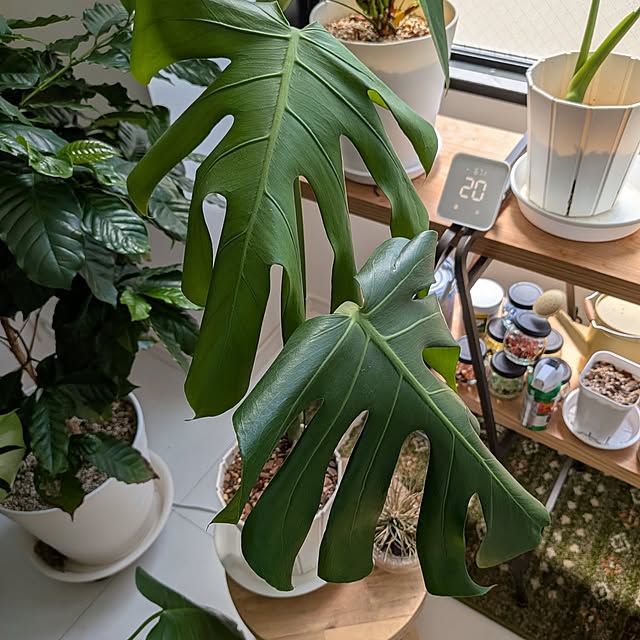 kolo92さんの部屋