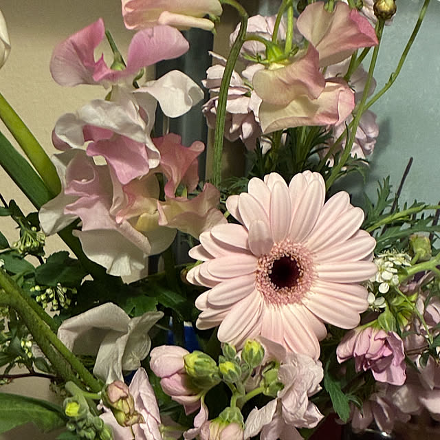 mkk8739hanasakuさんの部屋