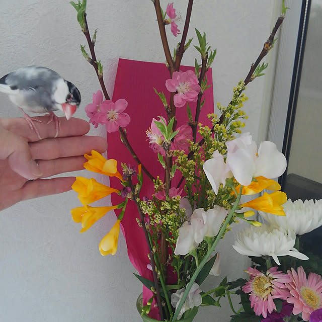 YUKO0108さんの実例写真