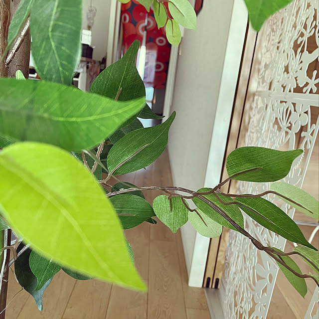 aureaさんの実例写真