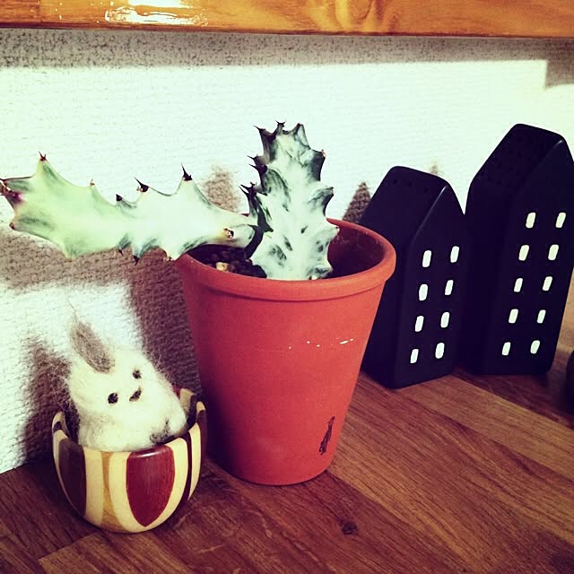 yuccoさんの実例写真