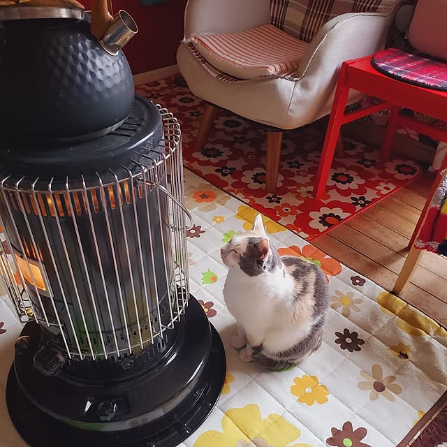 kumutanさんの部屋