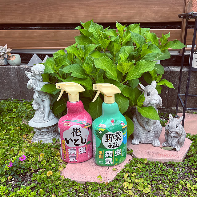 haruminさんの部屋