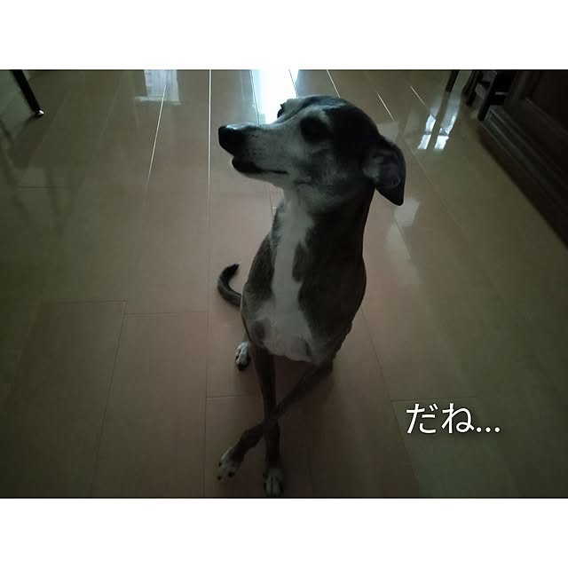 moruさんの部屋