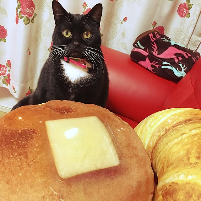 Hecacoさんの実例写真