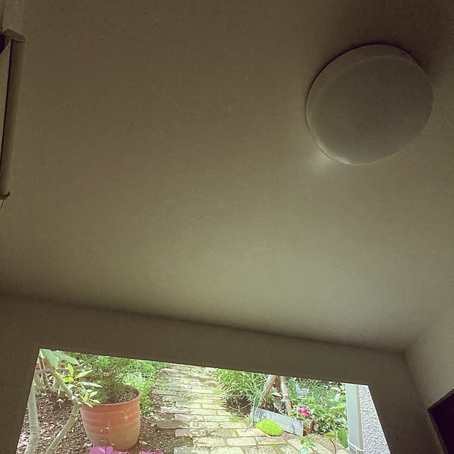 errorさんの実例写真