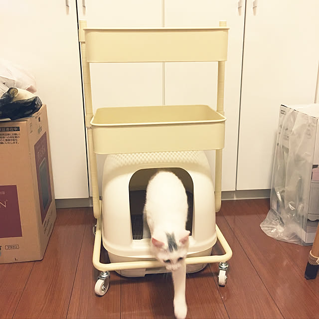 Tencil_Homeさんの実例写真