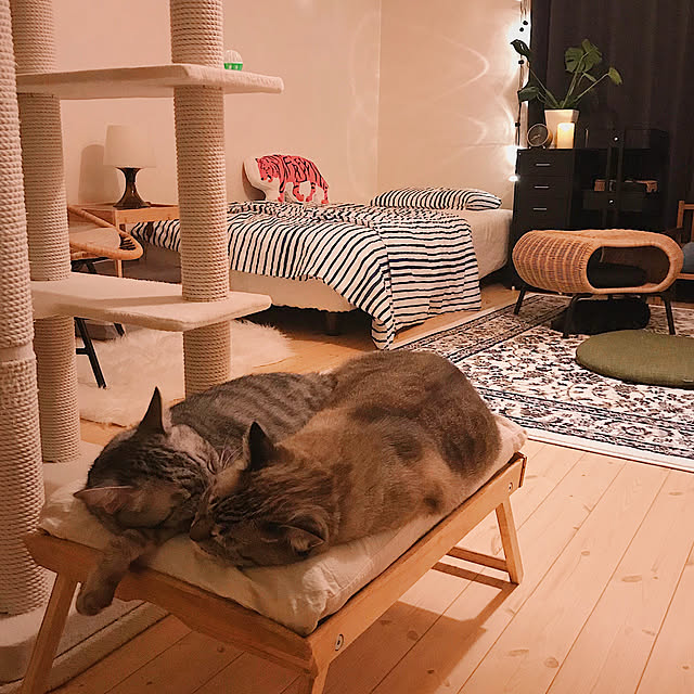 ineko_kさんの実例写真