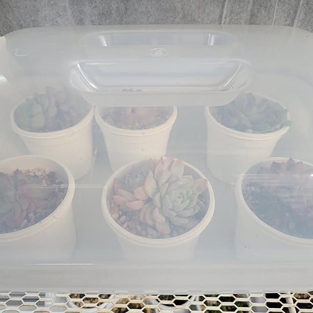 akiak.3さんの部屋