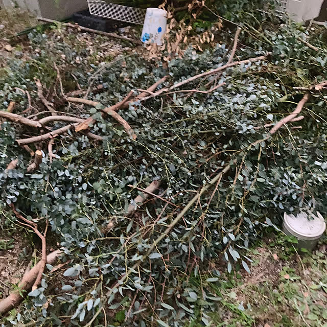 ayayayayaさんの部屋