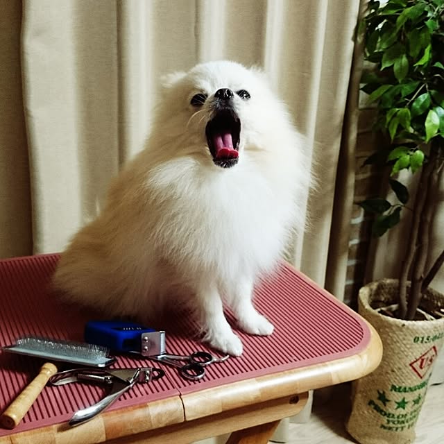 yukaさんの実例写真