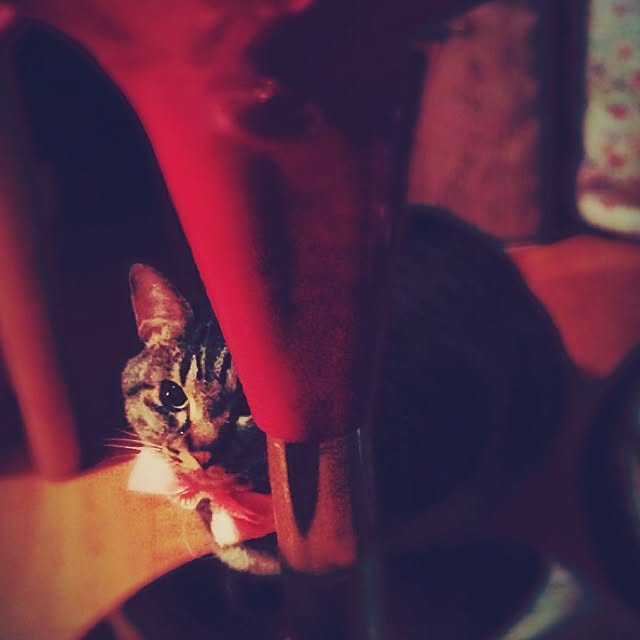 Lemon__chouさんの実例写真