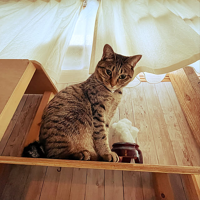 Mさんの実例写真