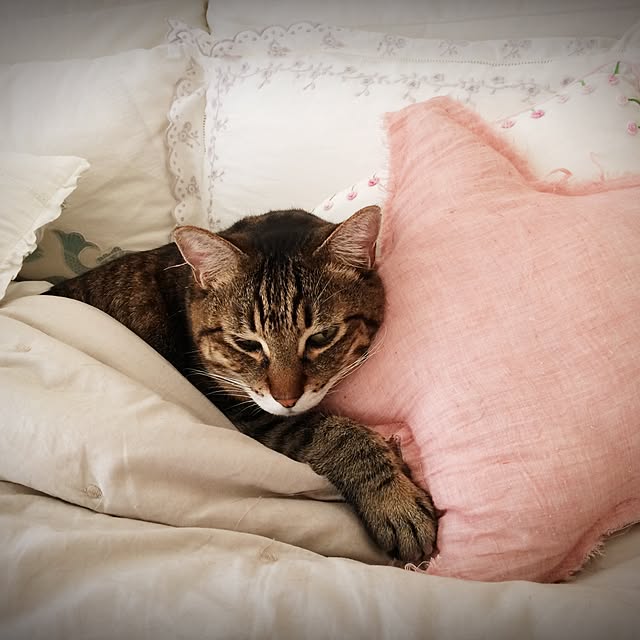 lovecatさんの実例写真