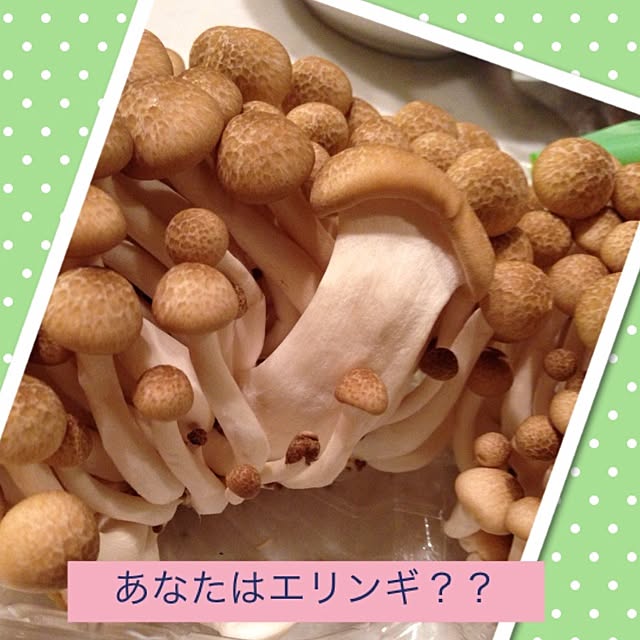 KEROさんの実例写真