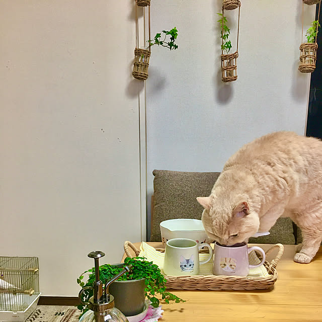 naokoさんの部屋