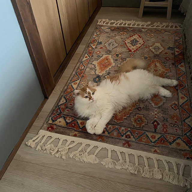 keiさんの実例写真