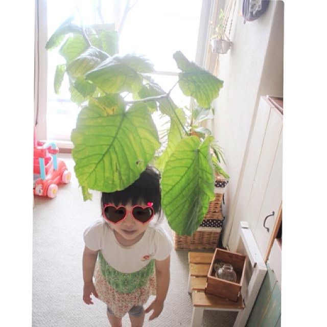 studio-fleurさんの実例写真