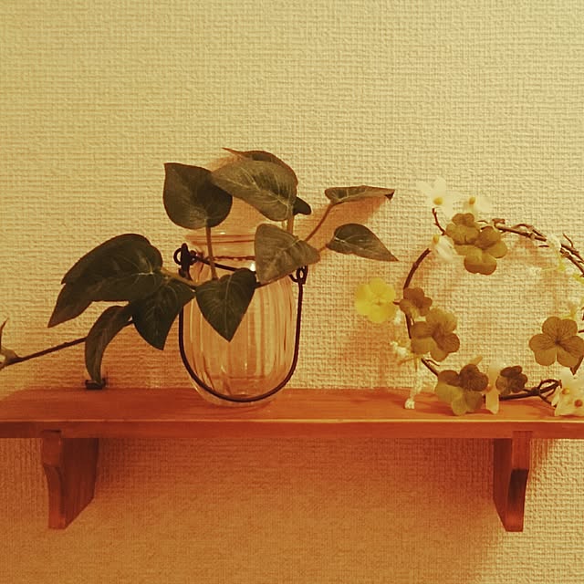 syutonukopoさんの実例写真