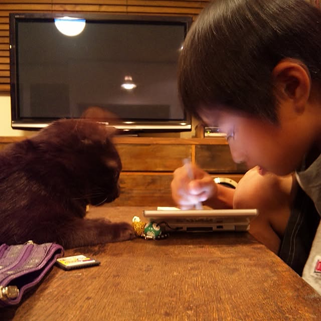 jnkaiさんの実例写真