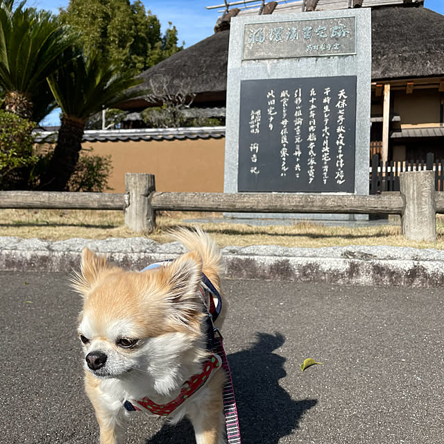 natsumiさんの部屋