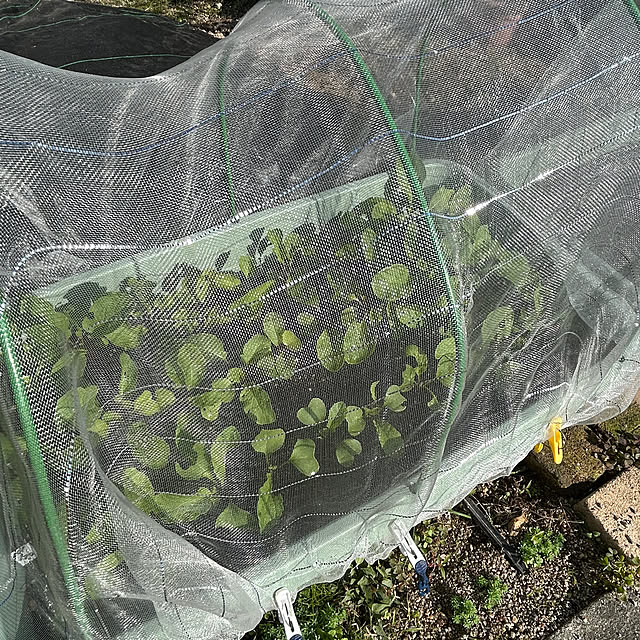 ritsukoさんの部屋