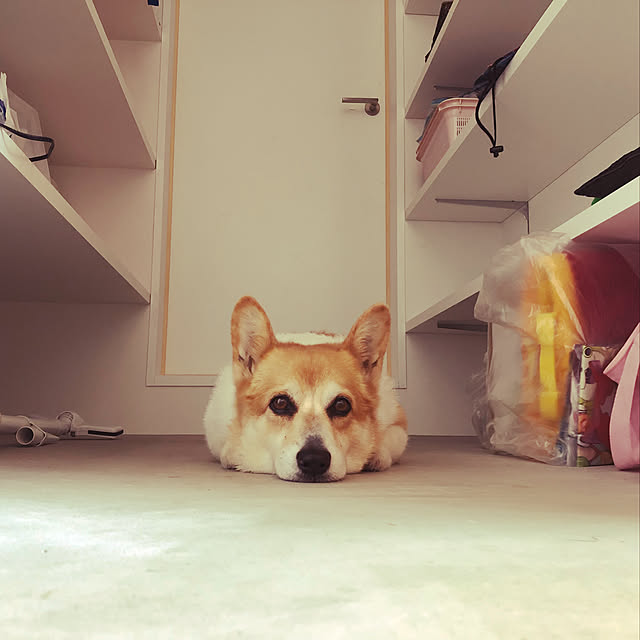 ayumi0127さんの実例写真