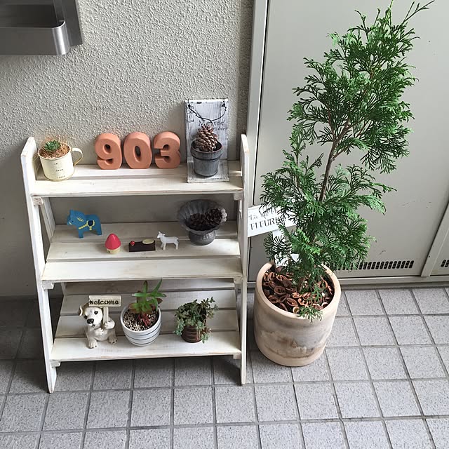 mariさんの実例写真
