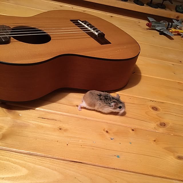 Jackyさんの実例写真