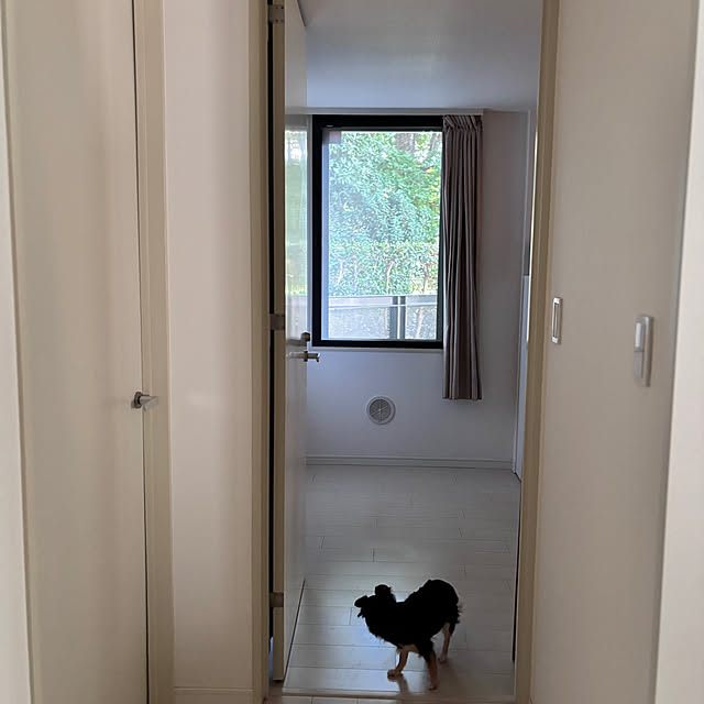 tricoさんの部屋