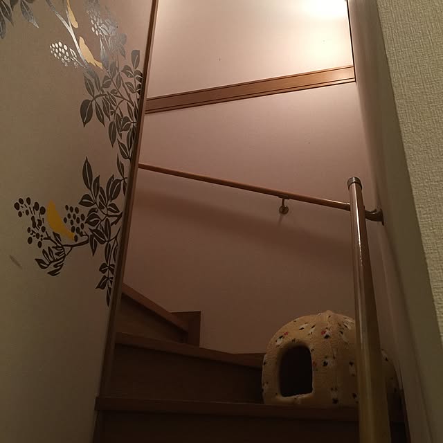 Leo_chan_08さんの実例写真