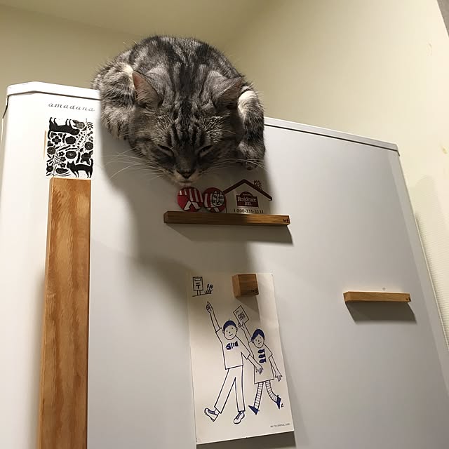 mikomaruさんの実例写真